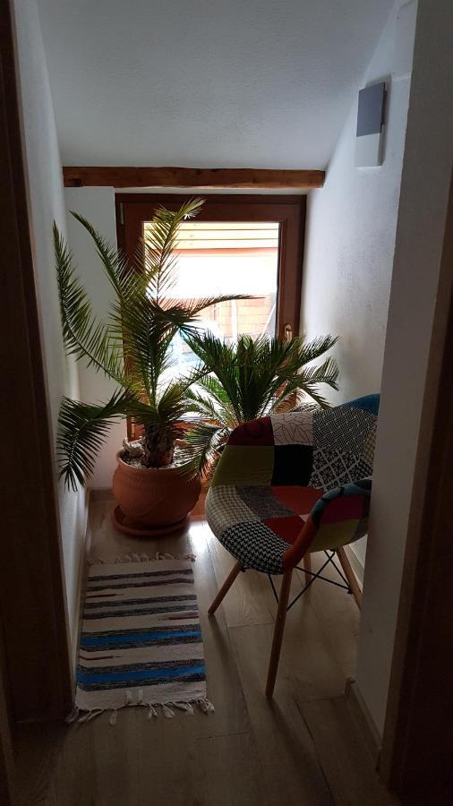 Otto'S Guesthouse Prejmer Bagian luar foto